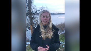 EMP Application Statement Luka Sauer