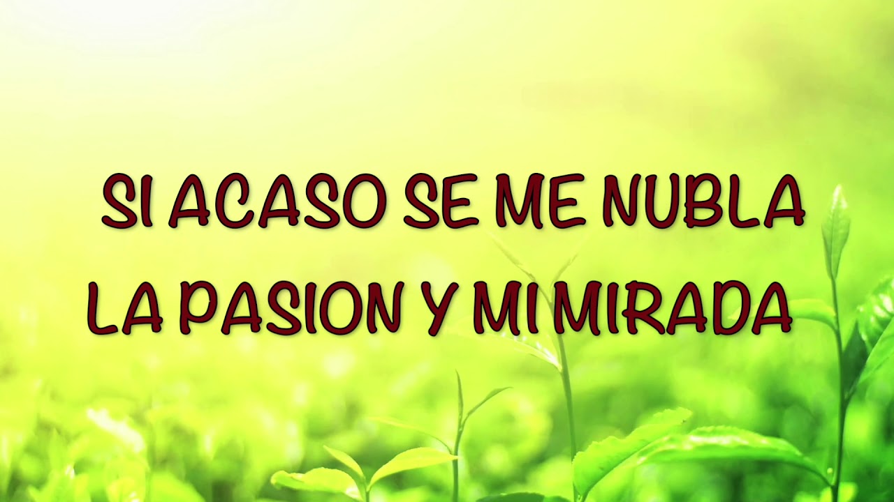 Si Acaso Se Me Olvida Alabanza De Adoracion Youtube Be the first to ask a question about si acaso se me olvida. si acaso se me olvida alabanza de adoracion