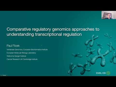 Video: Verschil Tussen Structurele En Functionele Genomica