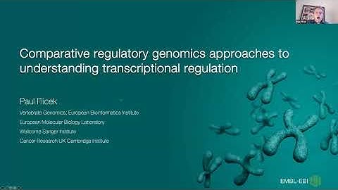 Paul Flicek: Comparative regulatory genomics approaches to understanding transcriptional regulation