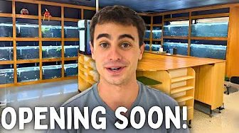 Our Aquarium Store is Almost Ready to Open!