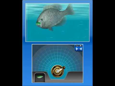 Nintendo 3DS Fish Eyes 3D Japanese Games | eBay