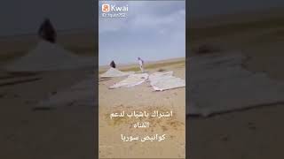 كوانيص سوريا 2023صيد القور الحر والشاهين