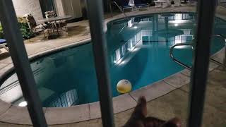 🏀 hydrokinesis