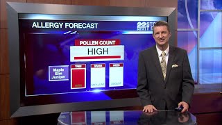 Rain brings short relief to allergy sufferers