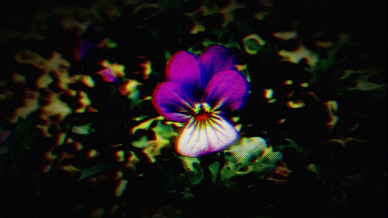 FRAGMENTS OF THE UNIVERSE  - Abstract Digital Flowers