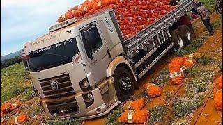 Alan Walker Faded verso Reggae