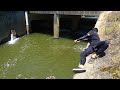川の一級ポイントで大物捕獲!!!【タエニア】