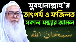 সুবহানাল্লাহ’র তাৎপর্য ও ফজিলত | Sheikh Maulana Abdul Awal Sahib new bangla waz আব্দুল আউয়াল সাহেব