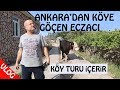 Güzel Bir Taş Ev, Güzel Bir Adam | Köye Göç Eden Eczacı | İneği, Buzağısı ve Süt Sağımı