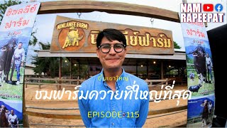 EP.115 : ขึ้นเขาใหญ่ ชมฟาร์มควายที่ใหญ่ที่สุดในไทย !!