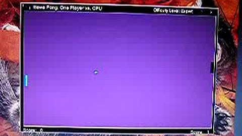Visual Basic Pong Game