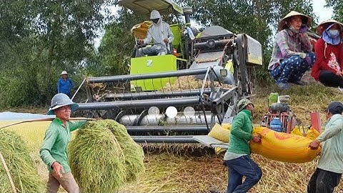 máy cắt trung quốc cắt lúa 5 không 4 công 5 bao cắt công 300K tập52 #maibangtv