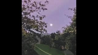 cuco - cupids quiver (slowed)