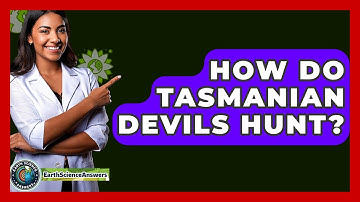 How Do Tasmanian Devils Hunt? - Earth Science Answers