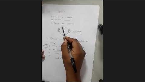 Deadlock in operating system 4 necessary condition and resource allocation graph solved numerical