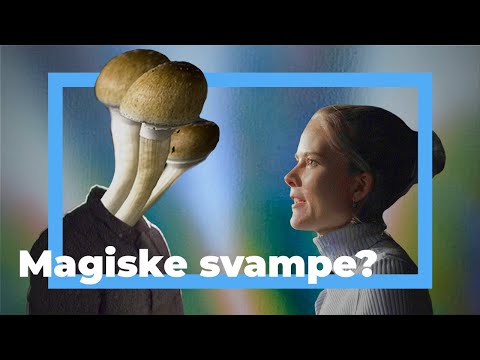 Video: Hvad Kan Koges Af Svampe