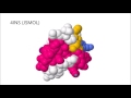 Insulin From Bacteria To You Insulin From Bacteria To You