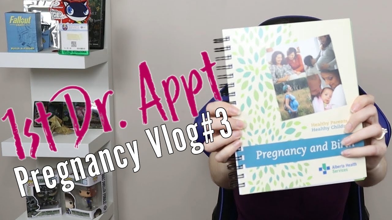 First Prenatal Appointment In Canada Pregnancy Vlog 3 YouTube first-prenatal-appointment-in-canada-pregnancy-vlog-3-youtube