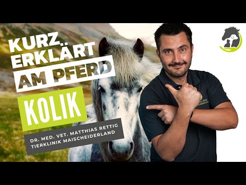 Video: Wie behandelt man Koliken?