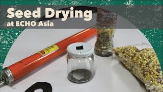 Drying Seeds at ECHO Asia Farm