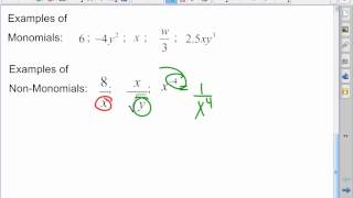 Algebra I: 6-3: Introduction to Polynomials