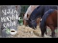 STABLES MORNING ROUTINE - Automne 2018 ☕