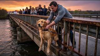 The dog was thrown off and got stuck on the bridge - What unexpected thing happened next? #9 screenshot 3
