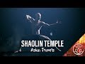 Shaolin temple martial arts music for tai chi kungfu  qigong meditation classes