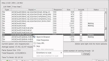 Directory bruteforcing w/ SamuraiWTF