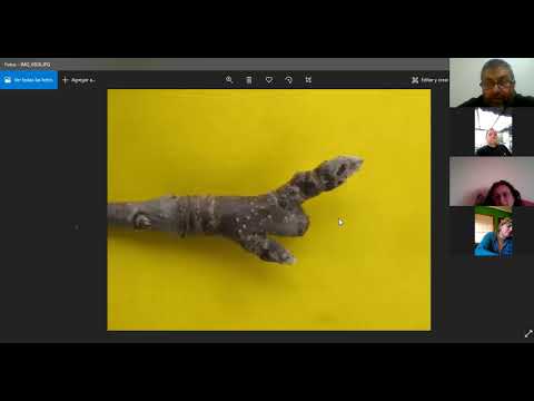 Curso de Poda - Clase 6 (Segunda Parte)