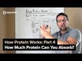 How Protein Works Part 4 - How Much Protein Can You Absorb?