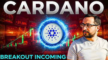 ADA Cardano: Whales Accumulating at Support Levels