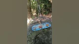 tiếng hồng hạnh mái.mồi..