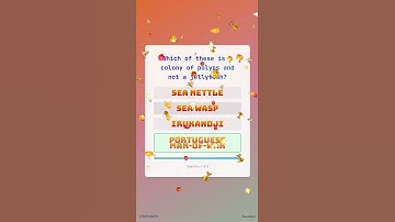 The ULTIMATE General Knowledge Quiz! Test Your Brain! | PART 84 | Digital Bullet