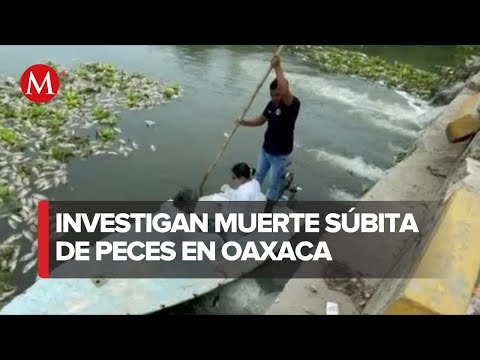 Ayuntamiento de Juchitán
