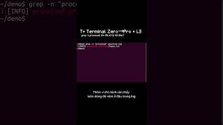 T• grep -n processed pipeline.log: xem file đã xử lý tới đâu | L3 (Terminal Zero→Pro) #ubuntu