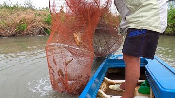 CÔ BA MIỀN TÂY ✅ ANH BA CÀ MAU DỞ LÚ MỘT LẦN ĂN TÔM, CUA MỆT XỈU