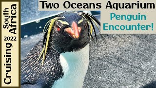 Penguin Encounter at Two Oceans Aquarium, Cape Town, South Africa