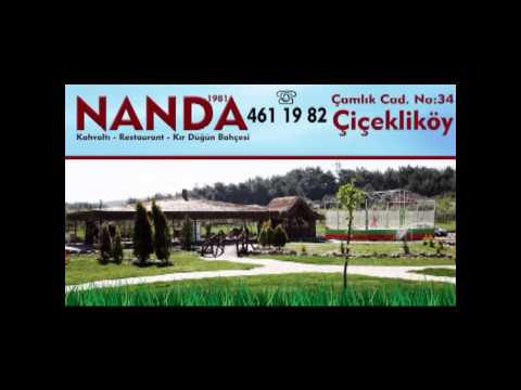 nanda 1981