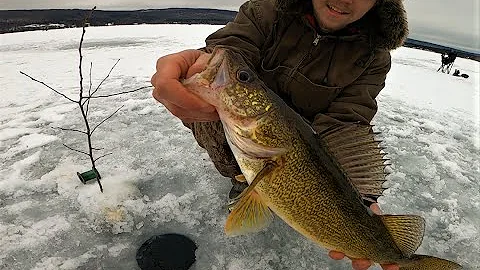 "BIG OLD GOLD" - Walleye Ice Fishing Adventure