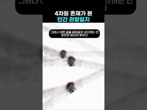 4차원 존재가 본 인간 관찰 일지
