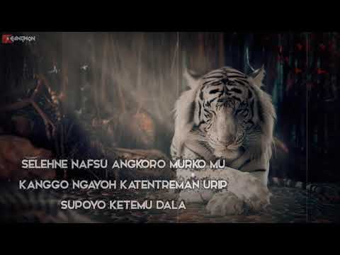 Story WA macan putih terbaru