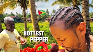видео: Гайана: страна, которая кормит себя сама 🇬🇾 картинка: Гайана: страна, которая кормит себя сама 🇬🇾