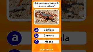 sabes qué tipo de insecto tiene un ciclo de vida de tres fases