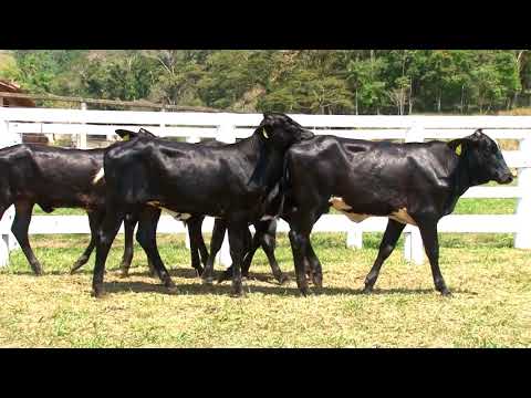 LOTE 20   SERRA DO PILOTO