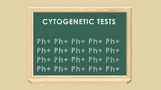 CML Patient Video: What you need to know about testing and monitoring