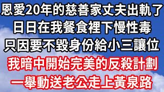 恩愛20年的慈善家丈夫出軌了，日日在我餐食裡下慢性毒，只因要不毀身份給小三讓位！我暗中開始完美的反殺計劃！一舉動送老公走上黃泉路！#心靈回收站