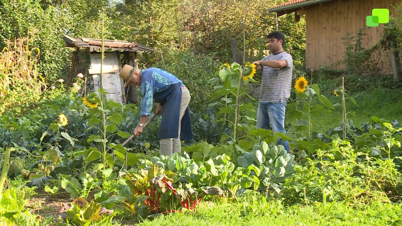 Quarantäne Gartenarbeit Erlaubt Quarantäne Gartenarbeit Erlaubt