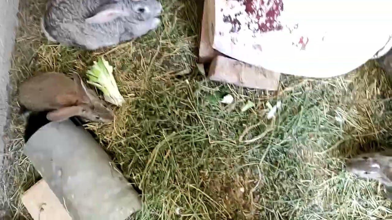 ١٥ فبراير، ٢٠٢٦